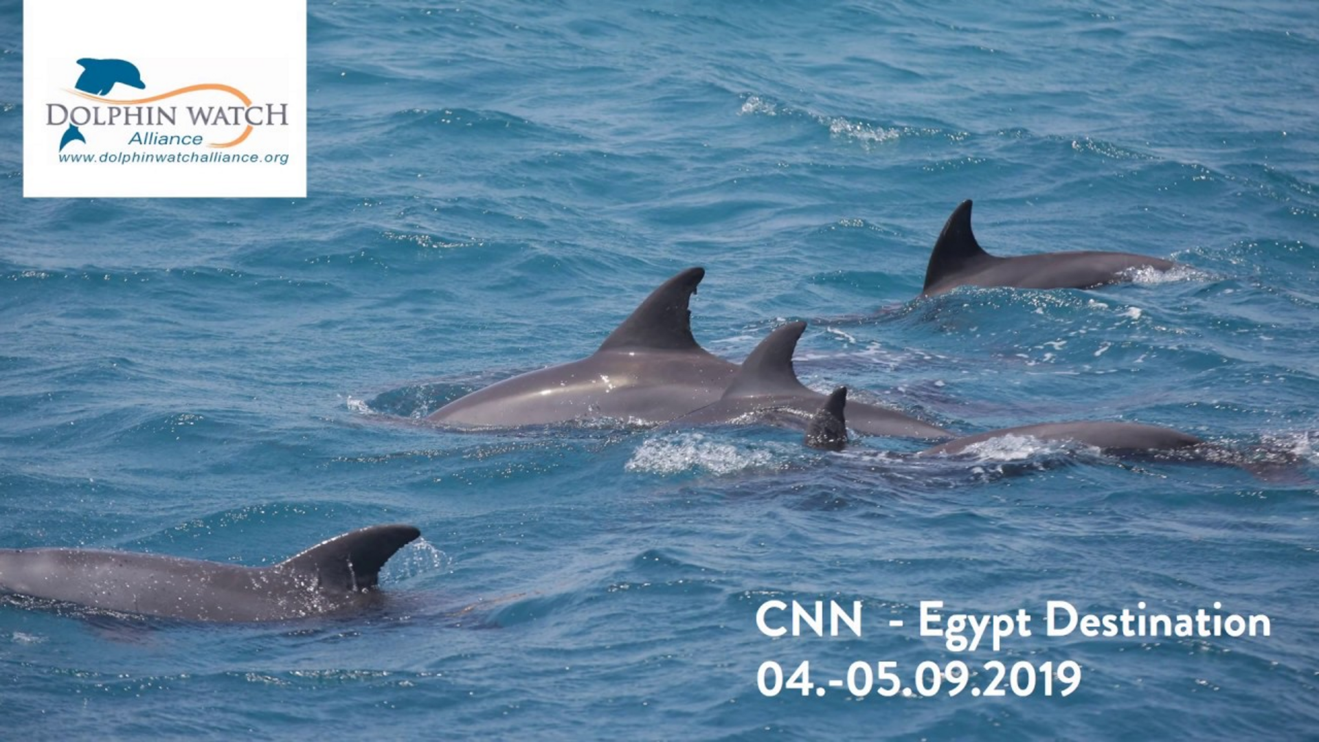 CNN - Egypt Destination