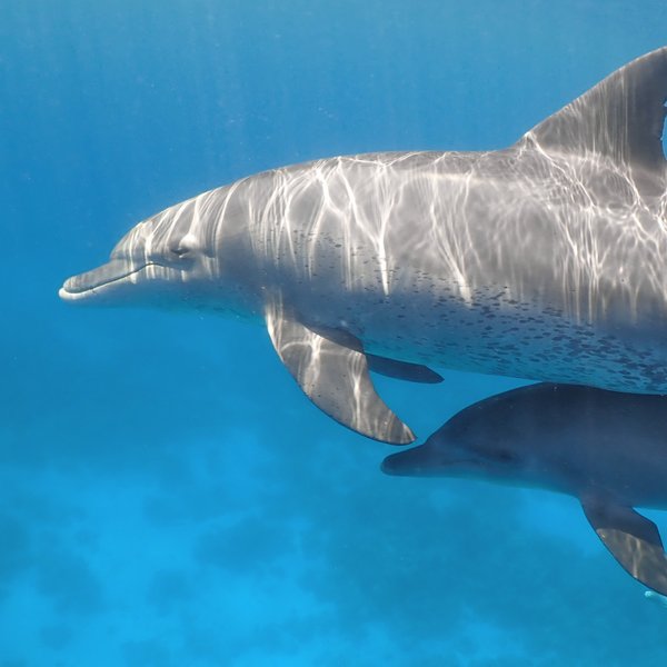 [Translate to Englisch:] 