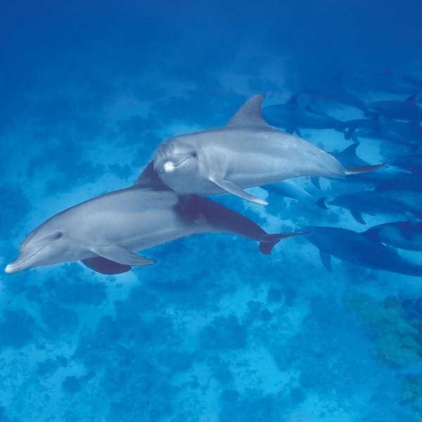 [Translate to Englisch:] 