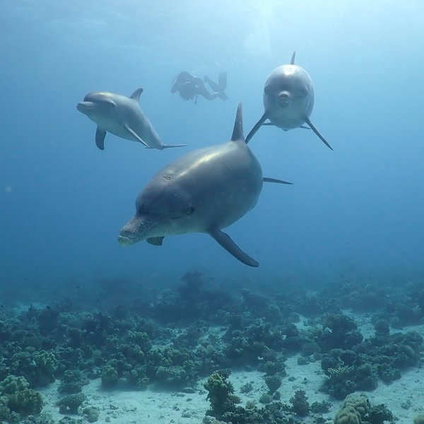 [Translate to Englisch:] 