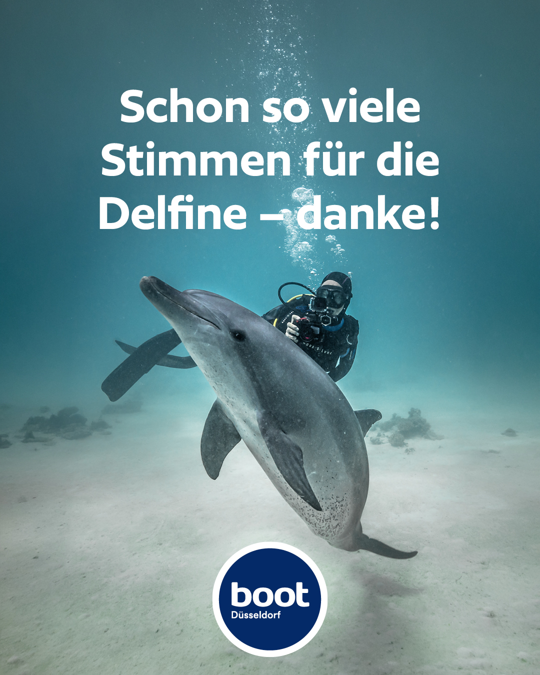 So viele Stimmen für die Delfine – danke. 🐬💙

Jede einzelne Stimme hilft, respektvollen Meeresschutz sichtbar zu machen...