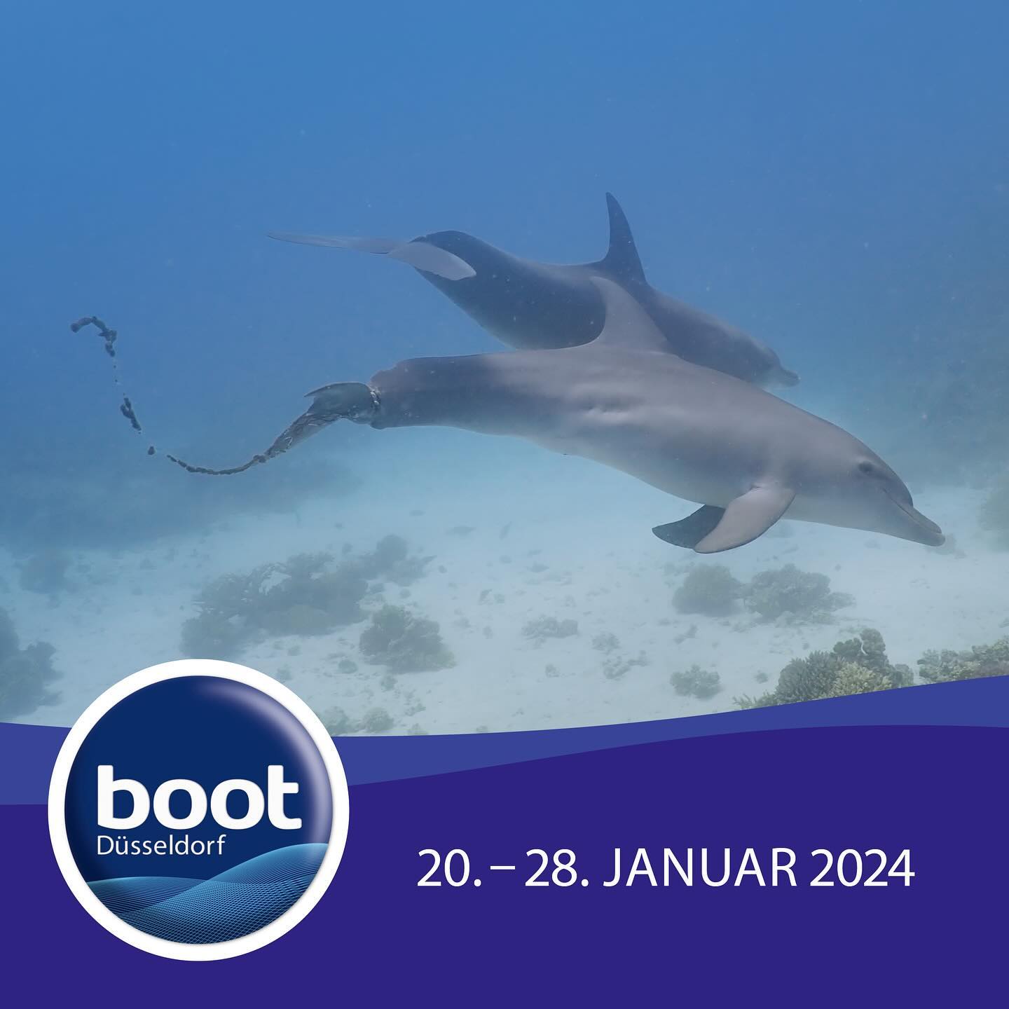 Come and visit us at this year’s Boot Düsseldorf, January 20 – 28, 2024!
Our president, Angela Ziltener, will hold...