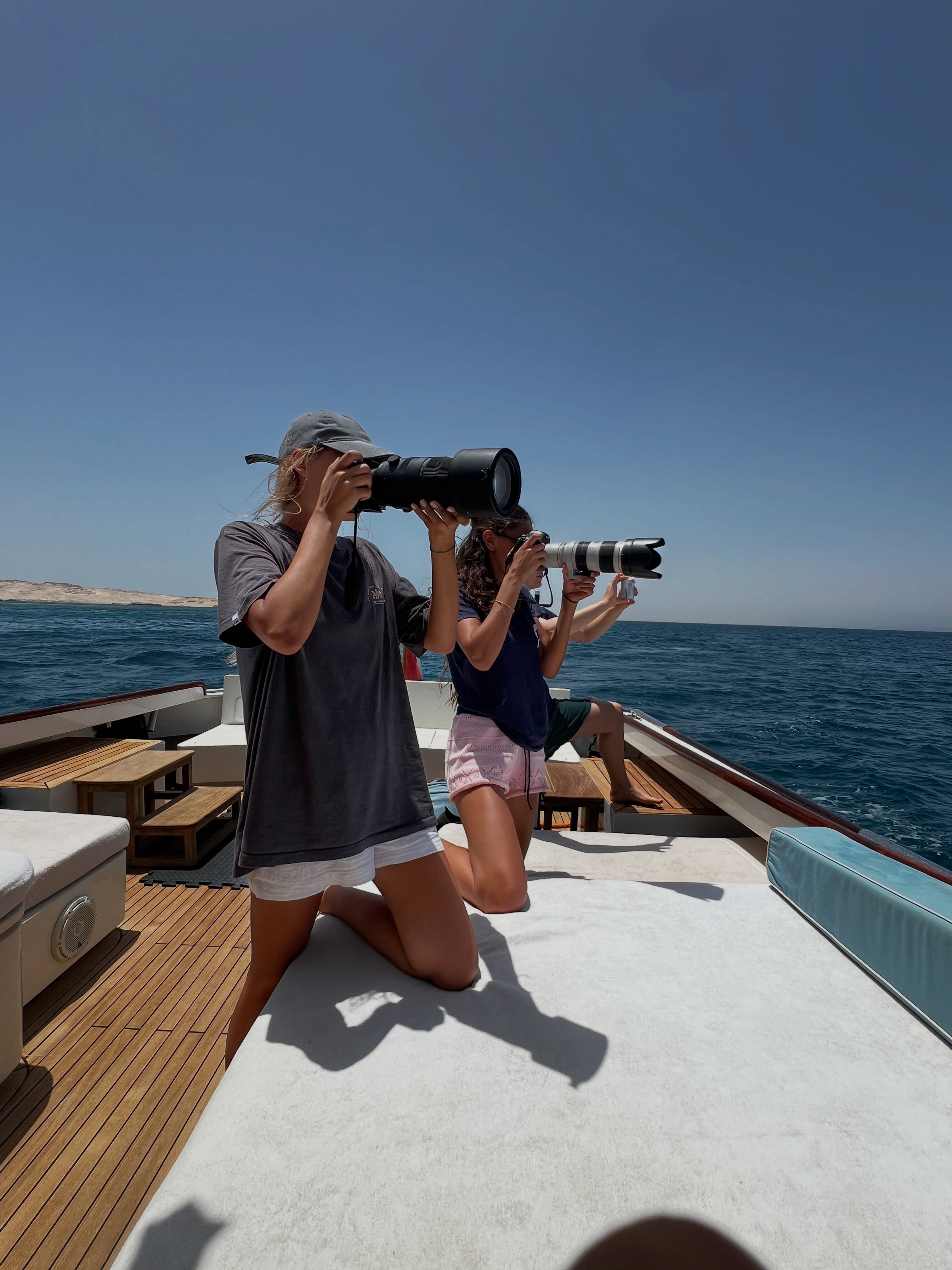 A look behind the scenes of a research trip with Dolphin Watch Alliance.

Most days are spent scanning the horizon for...