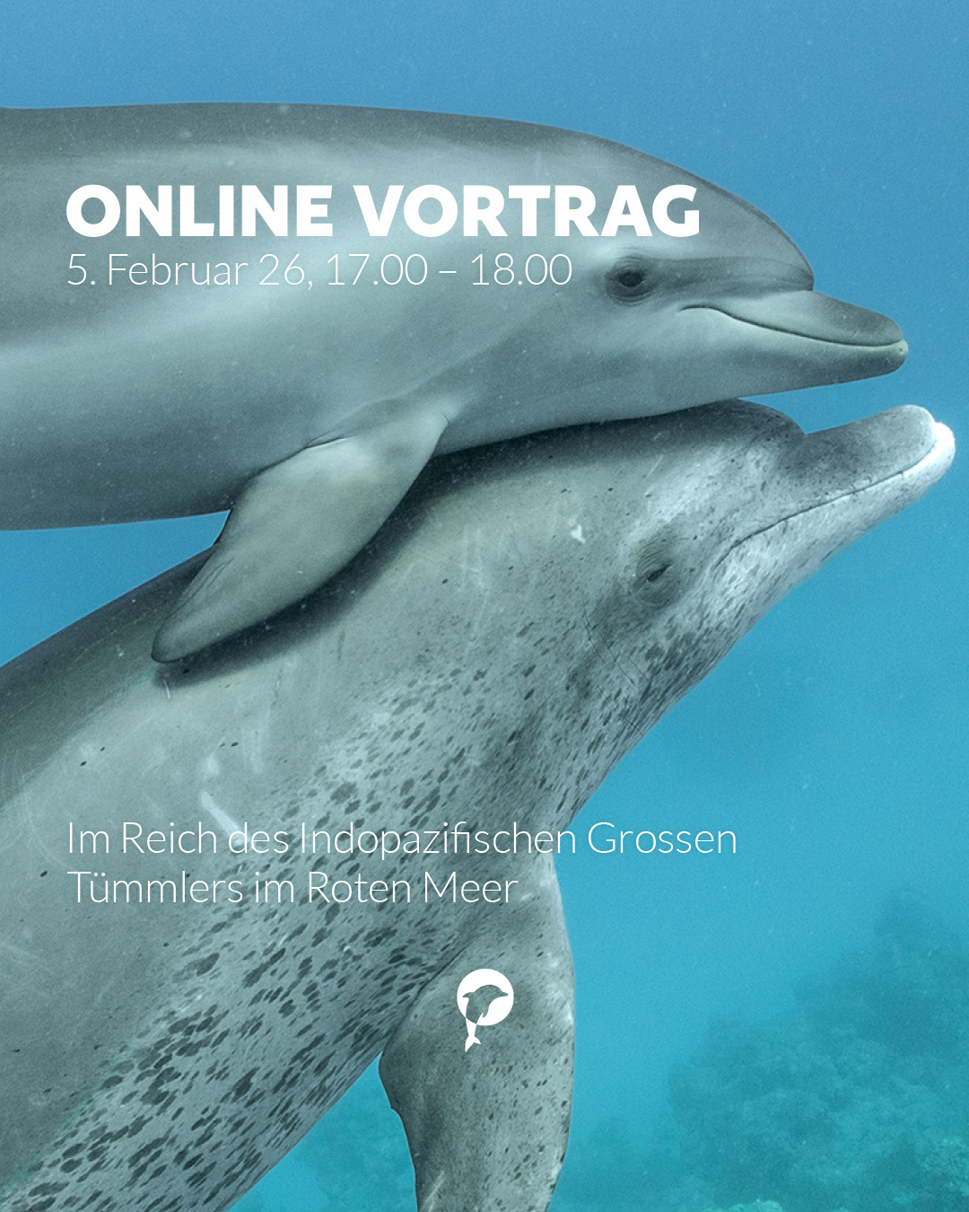 Nicht verpassen!
🌊 Online-Vortrag: Im Reich des indopazifischen Grossen Tümmlers im Roten Meer 🐬

📅 Wann
5. Februar 2026...