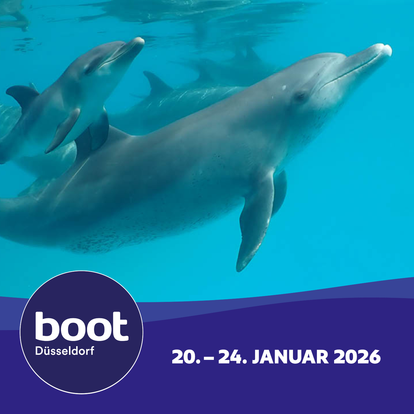 Am Samstag geht es los mit der «boot Düsseldorf» 😍🚤

Angela aus unserem Team wird von Dienstag, dem 20.01., bis Samstag,...