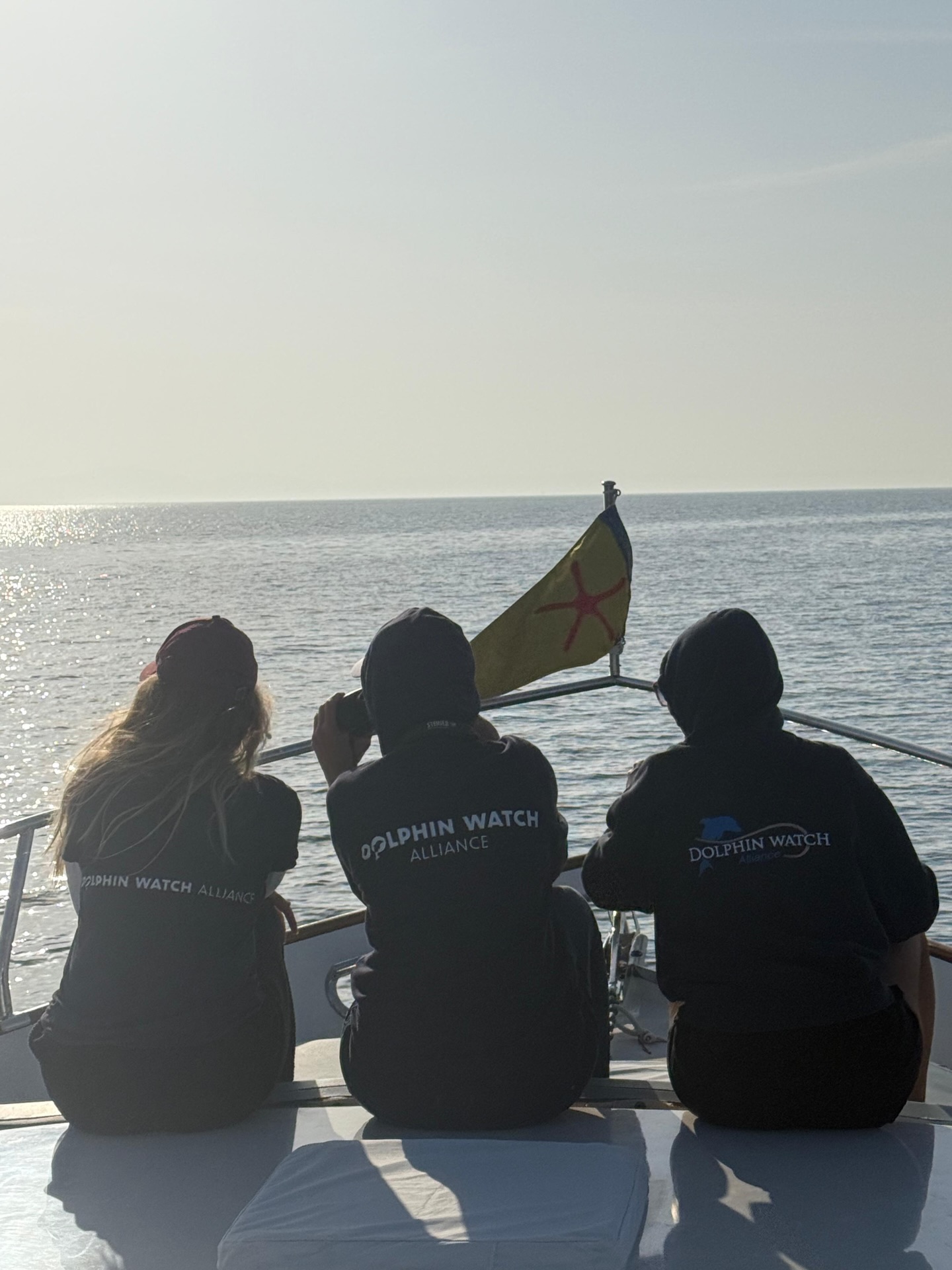 A great day at work: very good weather conditions, familiar fins (individuals), and hours spent in the water alongside...