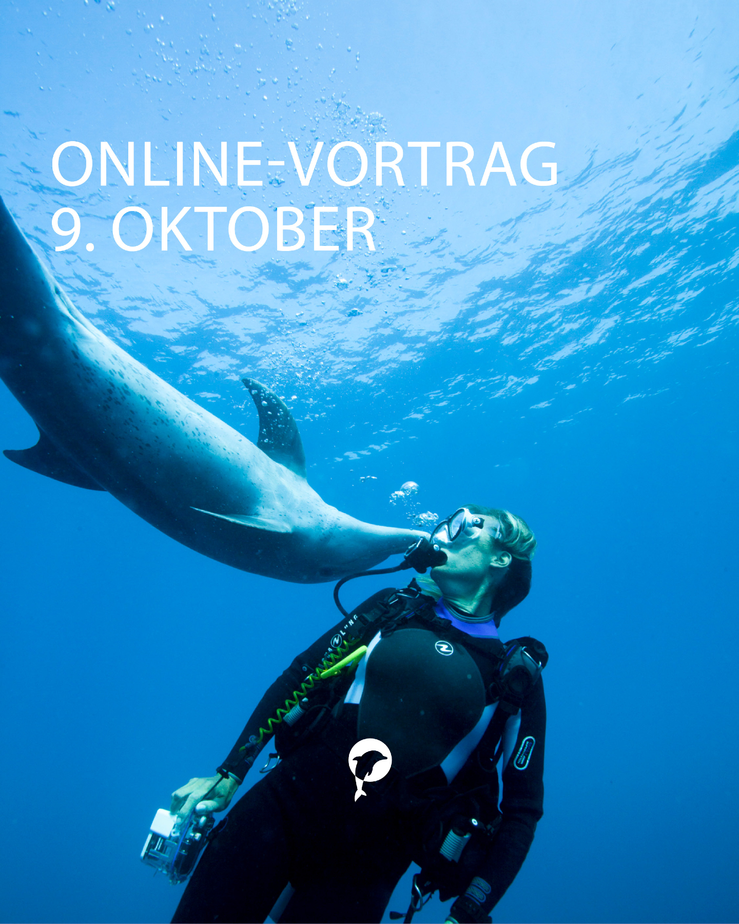 Eine Reise ins Rote Meer – aber nicht an die Strände, sondern dorthin, wo die Indopazifischen Grosse Tümmler zuhause...