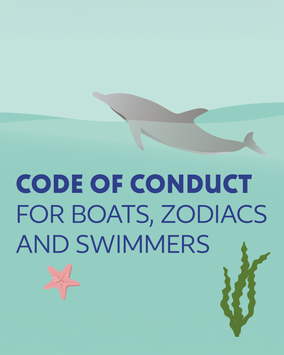 Respect means protection. 💙🐬

By following the Dolphin Code of Conduct, we give dolphins the space they need to rest,...