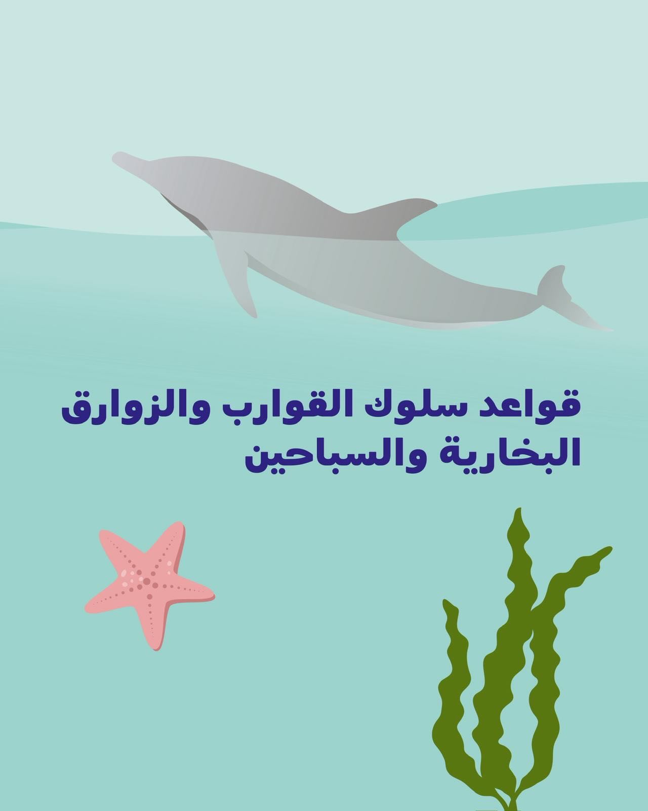 الدلافين كائنات مذهلة — تنام وهي تسبح، وتكوّن صداقات تدوم مدى الحياة، ويمكن أن تعيش حتى 50 عامًا. 🐬
ولهذا تستحق...