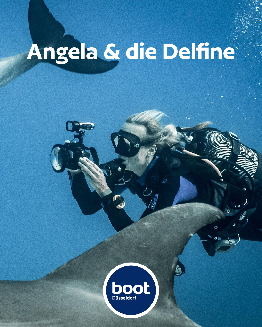 «Delfine brauchen keine Shows – sie brauchen Schutz.» 💙🩵

Angelas Arbeit basiert auf einer klaren Haltung:
• ...